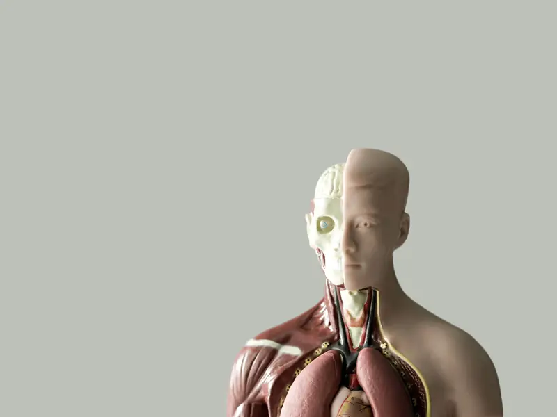 Cardiothoracic physiotherapy in Bengaluru at Physio Zone
